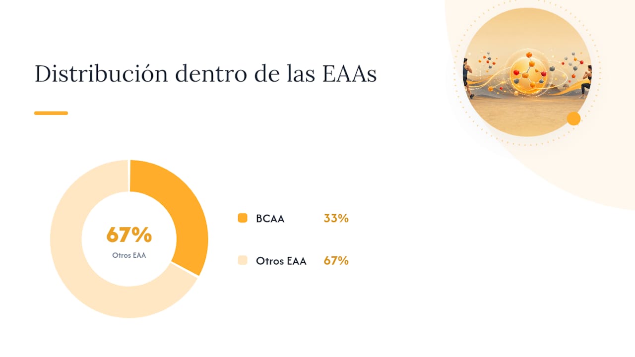 Comparativa entre BCAA y EAA