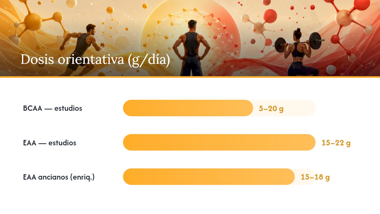Dosis orientativa, momento de toma y seguridad — overview diagram