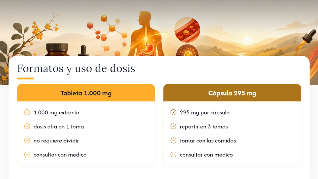 Berberina de Fitnesshealth: dosis claras, sin adivinar cuánto tomas — overview diagram