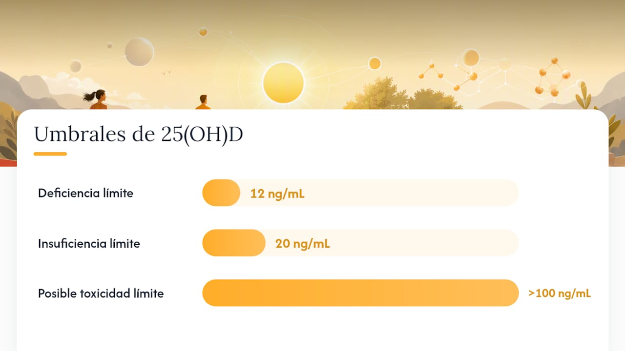 Qué mide la prueba de vitamina D (25‑hidroxivitamina D) y sus límites de referencia — overview diagram
