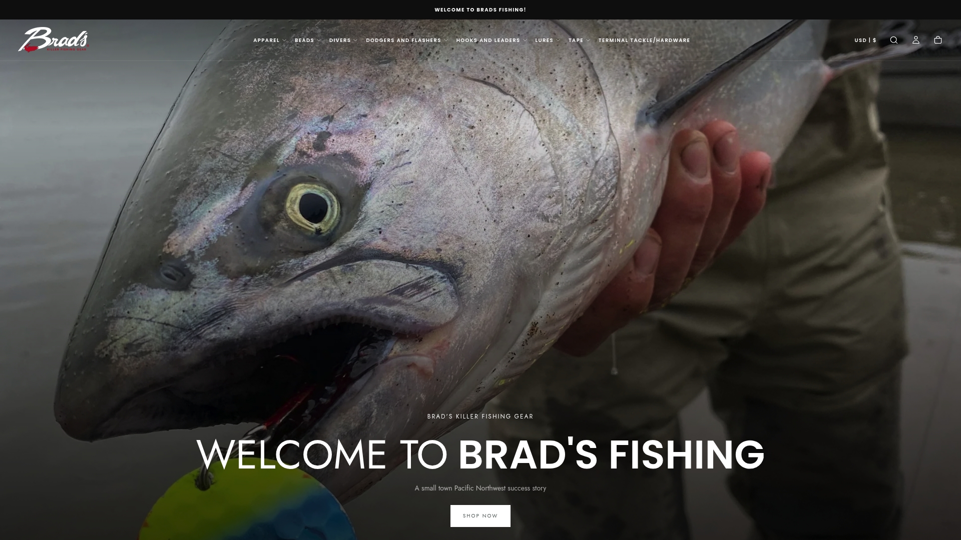 https://bsfishtales.com