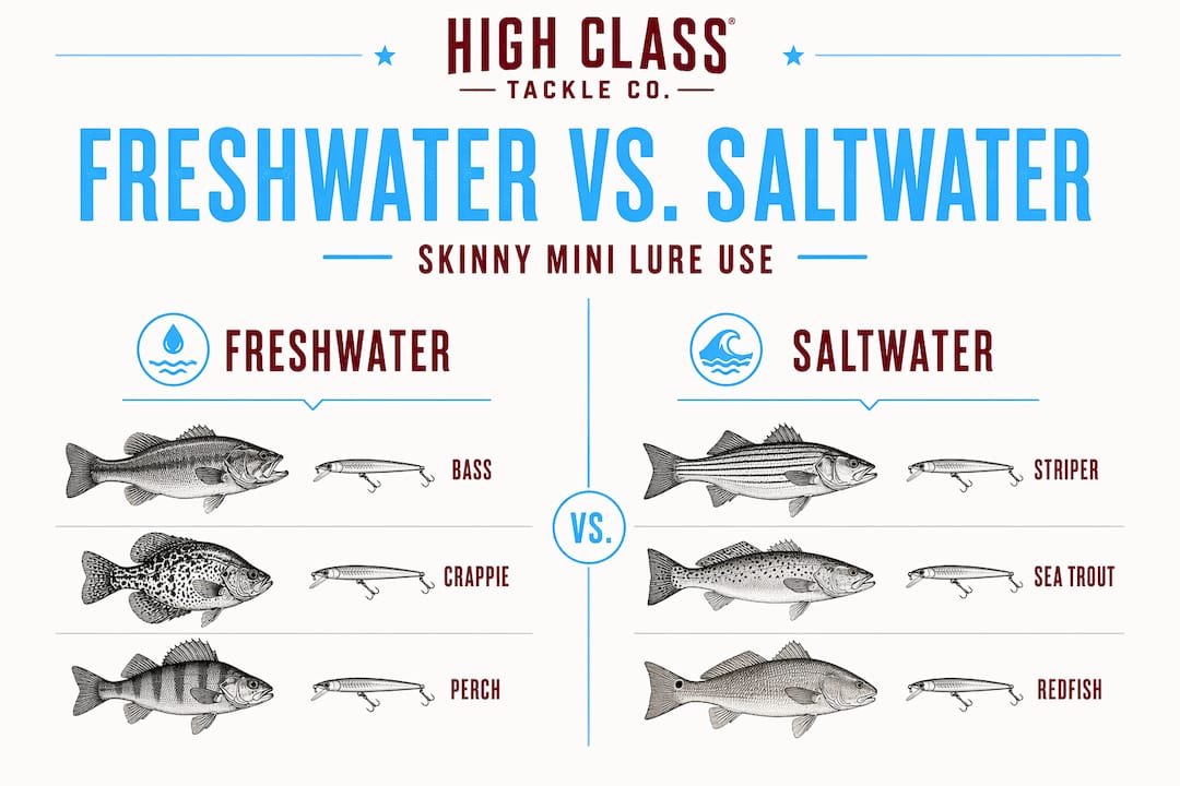 Infographic comparing skinny mini fishing for freshwater and saltwater species