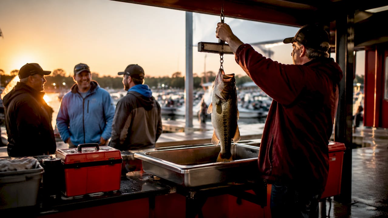 Hands weighing fish on digital scale at tournament weigh-in