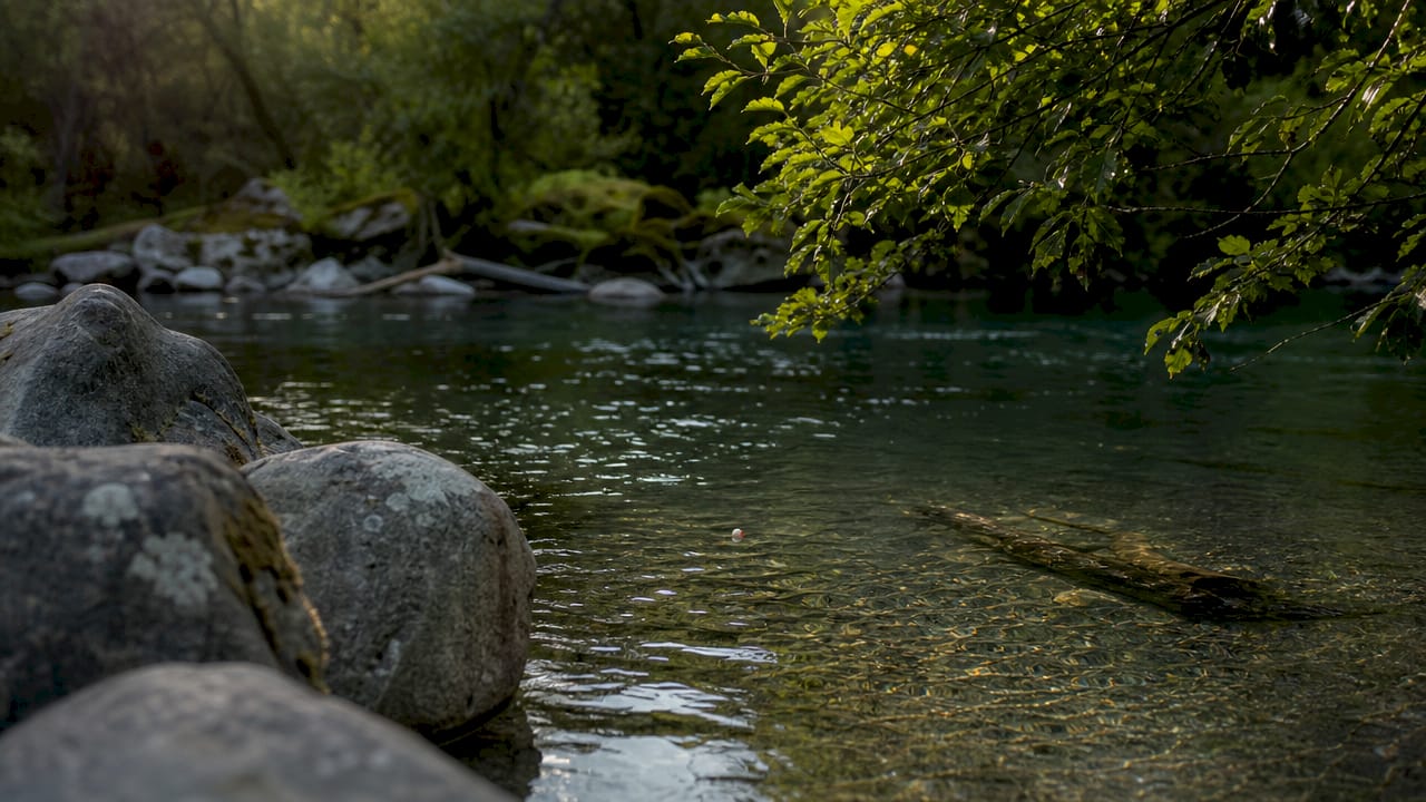 River pool highlighting current speed and depth indicators