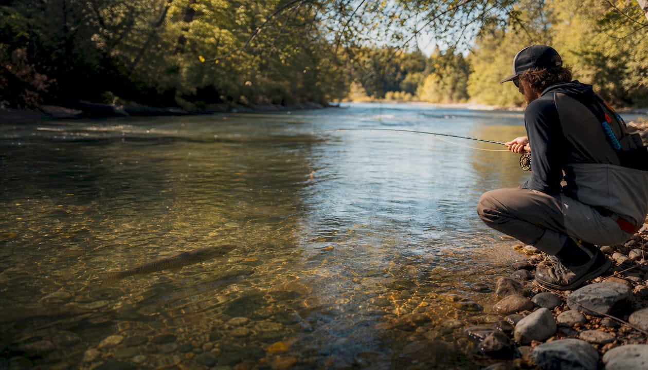 Steelhead swimming near bottom current in clear river water