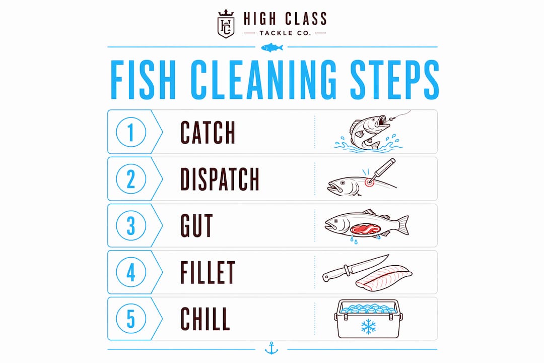Infographic showing fish cleaning step-by-step