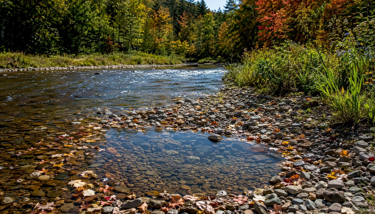 Steelhead redds in Great Lakes stream gravel