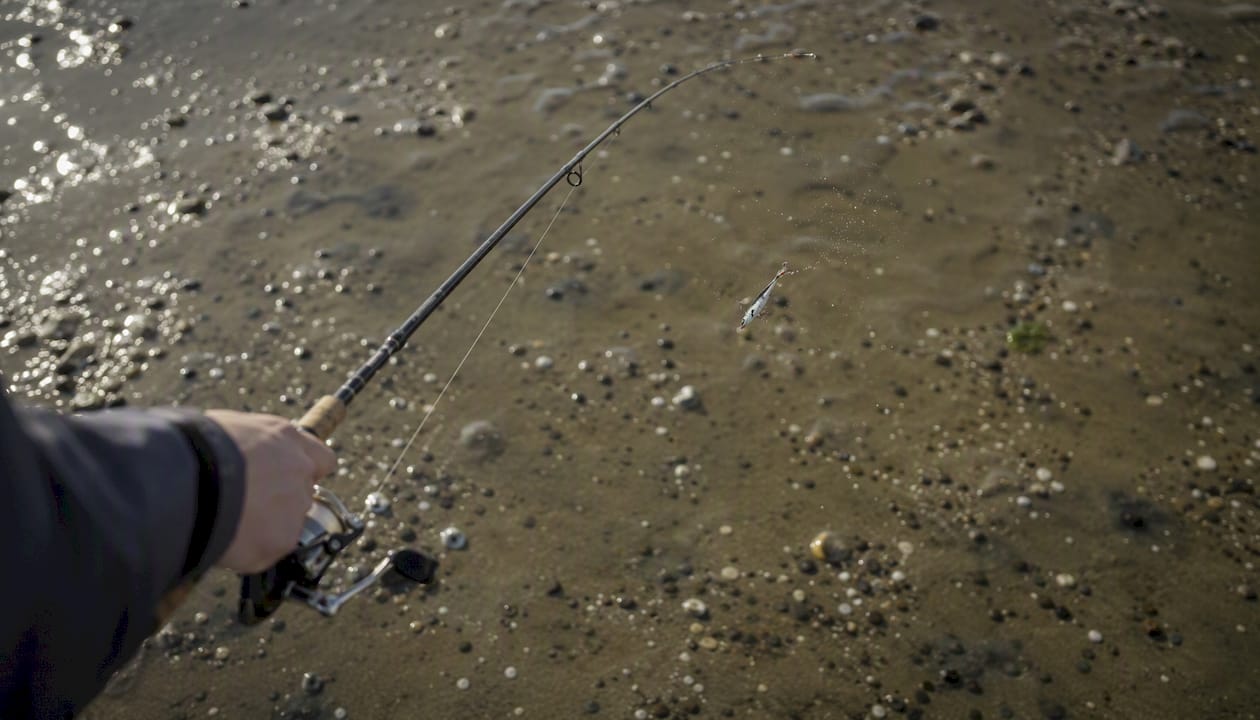 Angler casting shallow-running lure on tidal flats