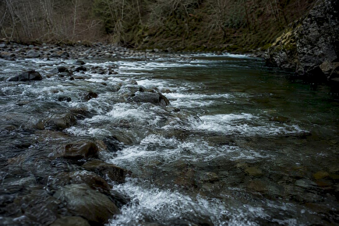 Winter riffle tail and seam steelhead holding water