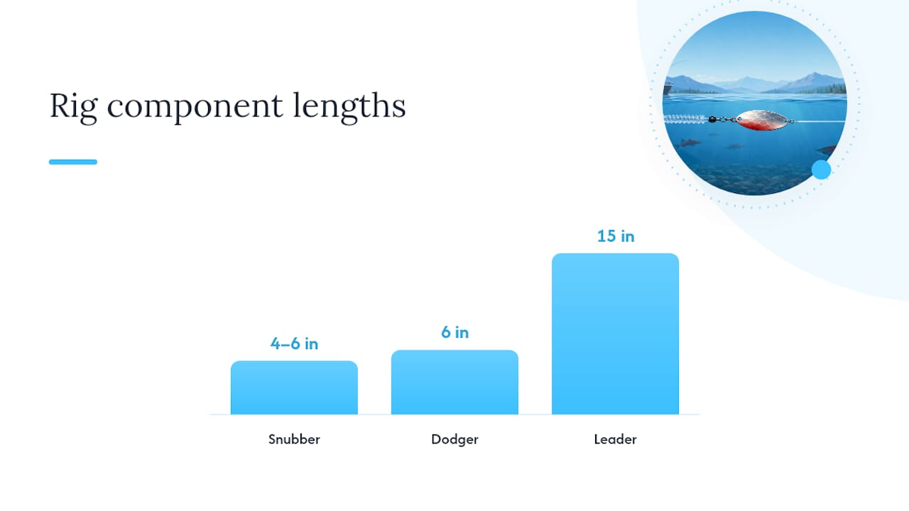 Where To Place A Snubber In Your Dodger And Downrigger Rig — overview diagram