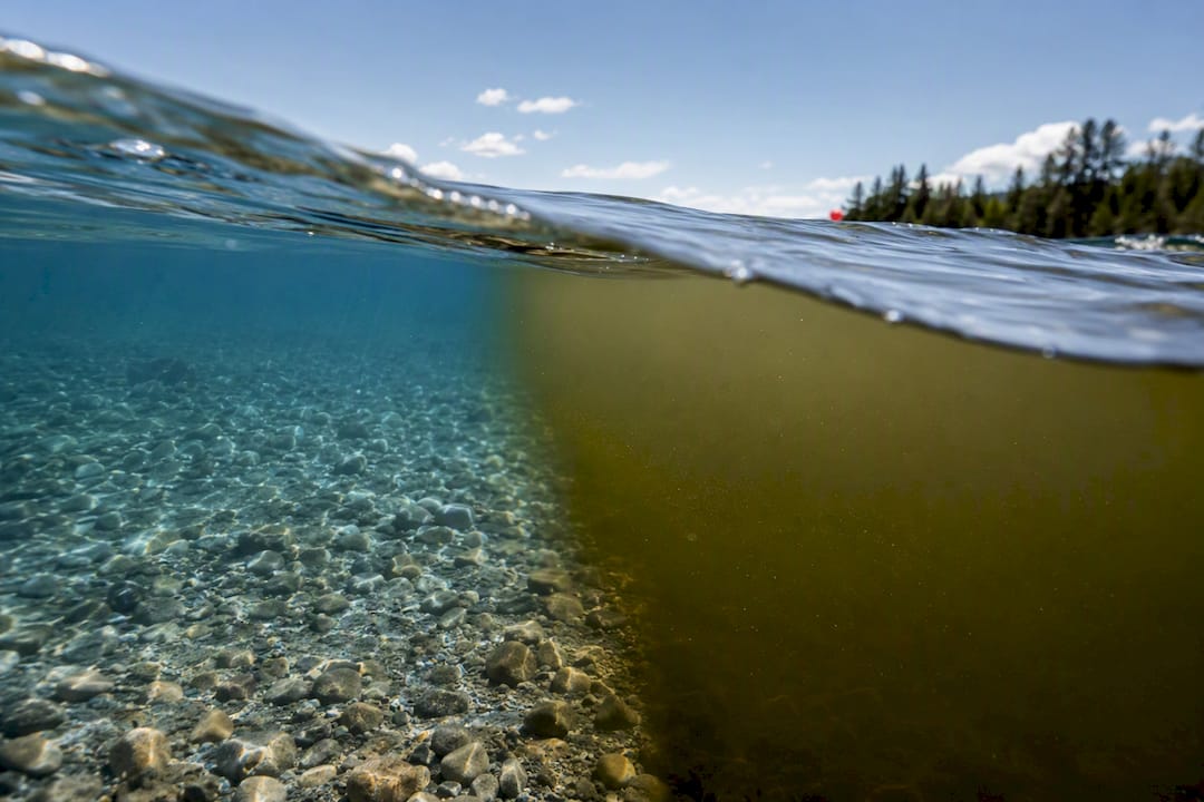 Clear and stained kokanee lake water