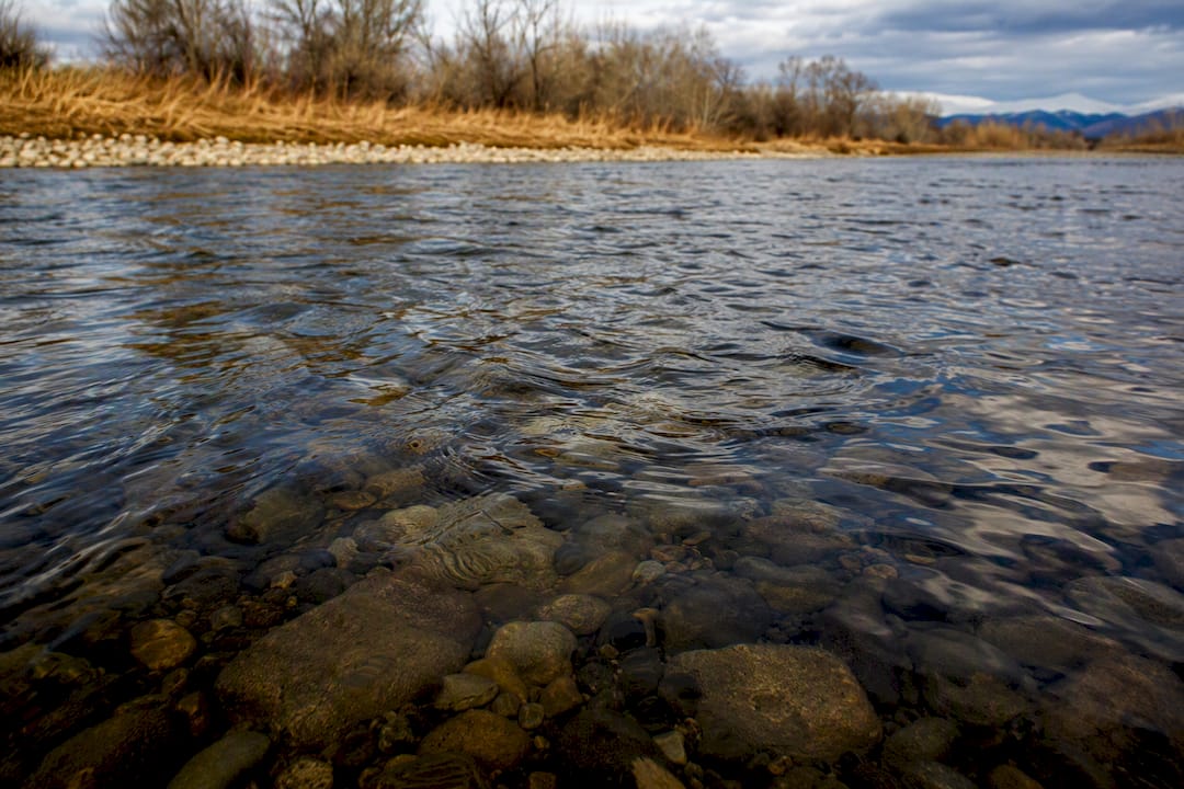 Wind riffles a clear low river