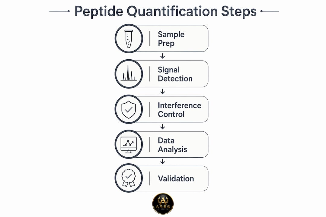 Infographic illustrating peptide quantification process