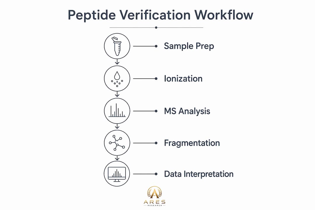 Infographic showing peptide verification workflow steps
