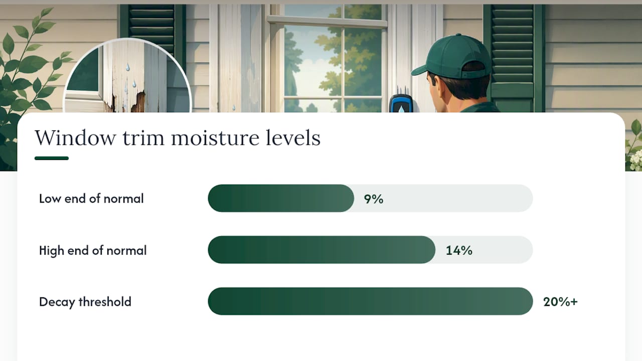 How to Spot Wood Rot Around Windows — overview diagram