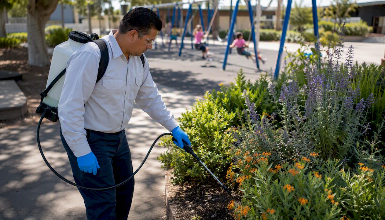 Technician applying IPM treatment on school garden
