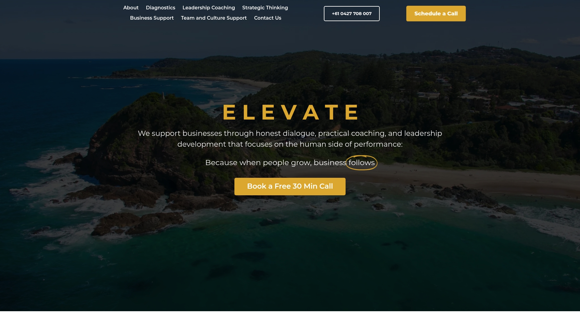 https://elevatebizadvisory.com