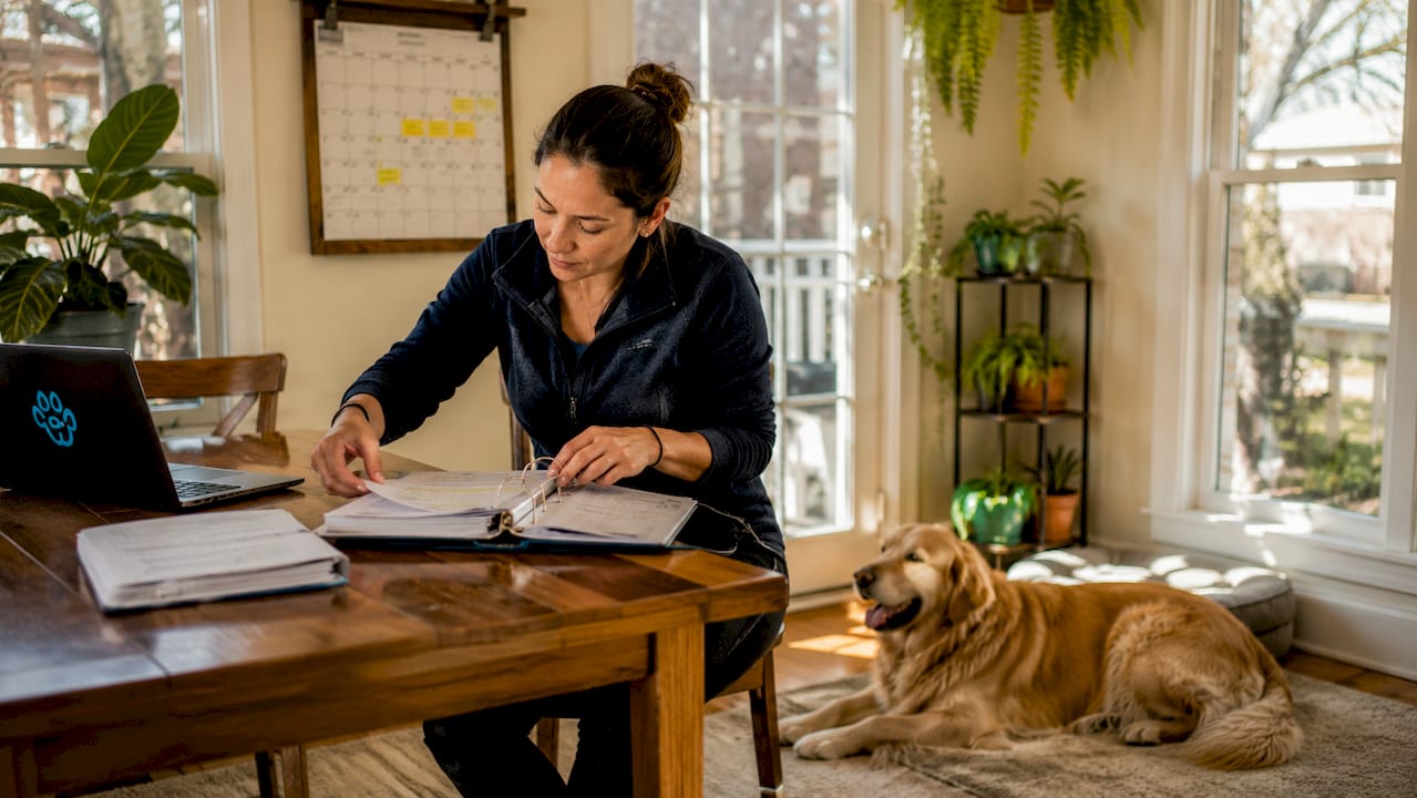 Pet sitter organizing backup coverage contacts
