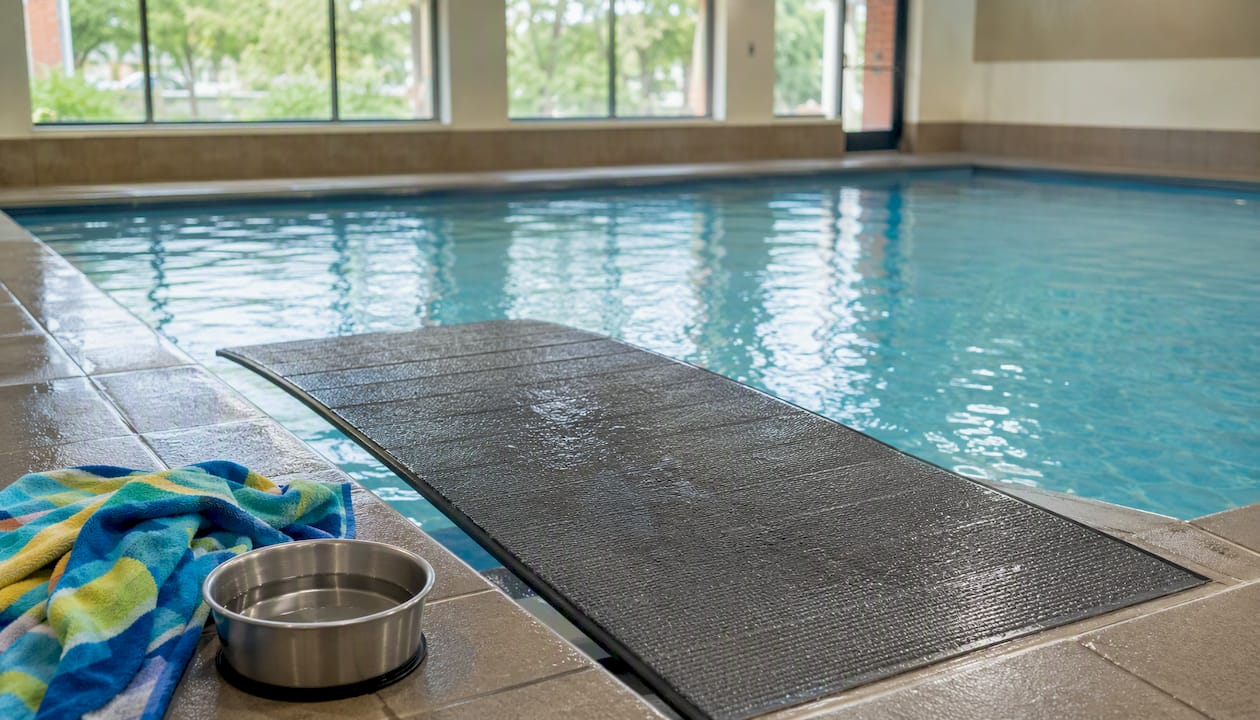 Ramp into an indoor dog swimming pool