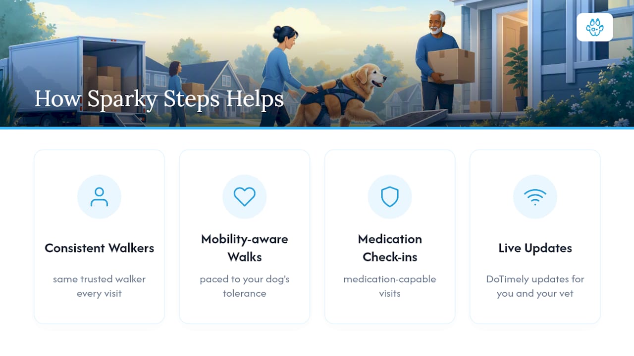 How Sparky Steps supports senior dogs at home — overview diagram