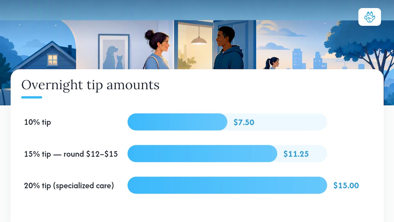 Overnight sitter tip percentages and dollar amounts