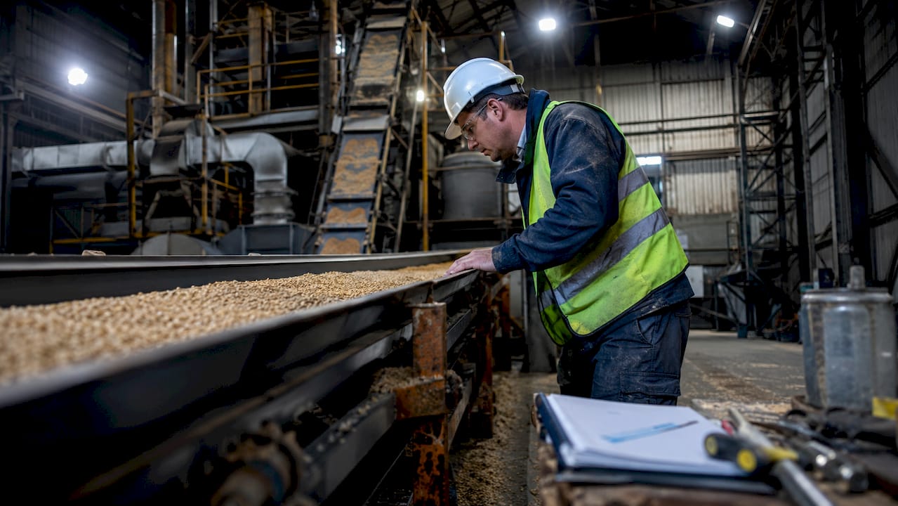 Technician inspecting dry bulk conveyor system