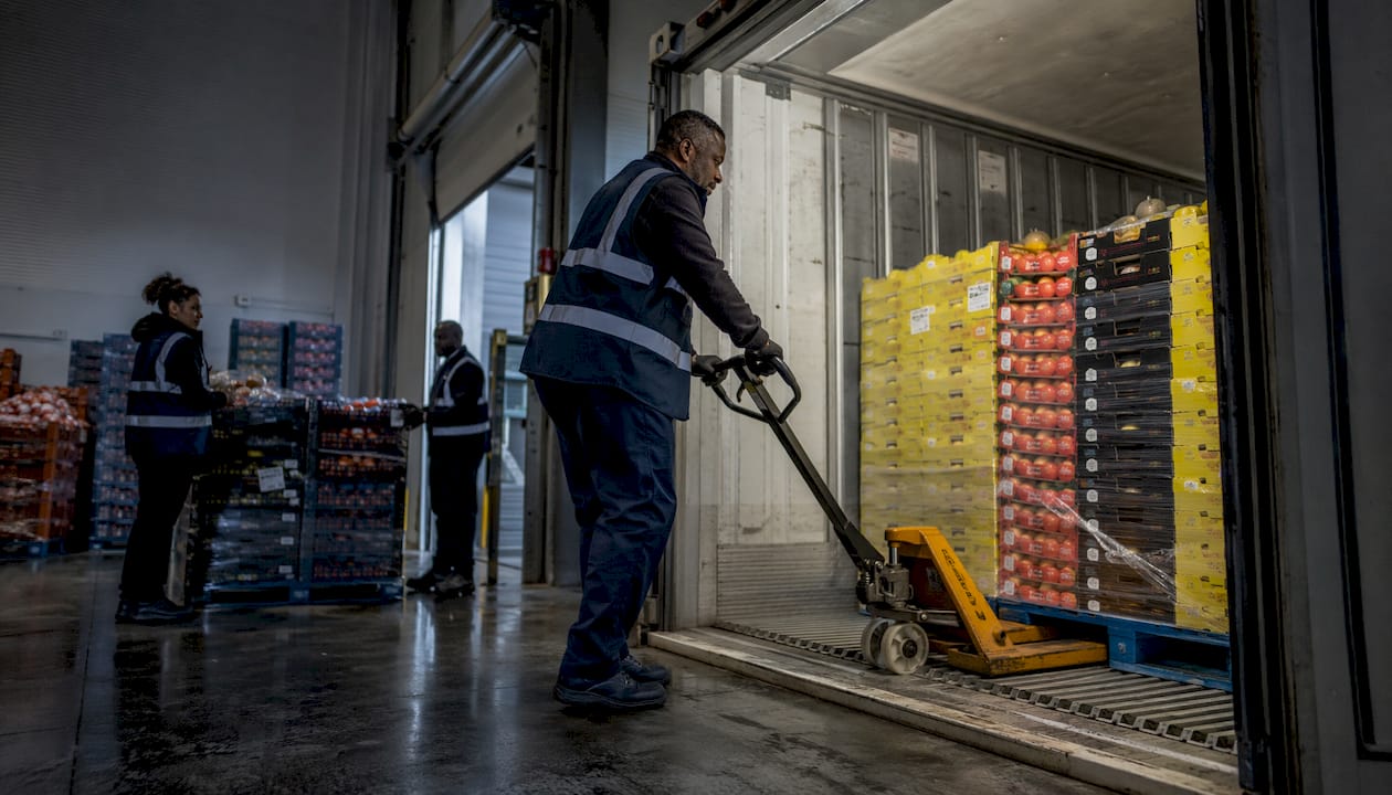 Workers loading pallets inside refrigerated container
