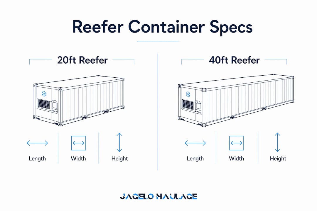 Infographic comparing 20ft and 40ft reefer container specifications