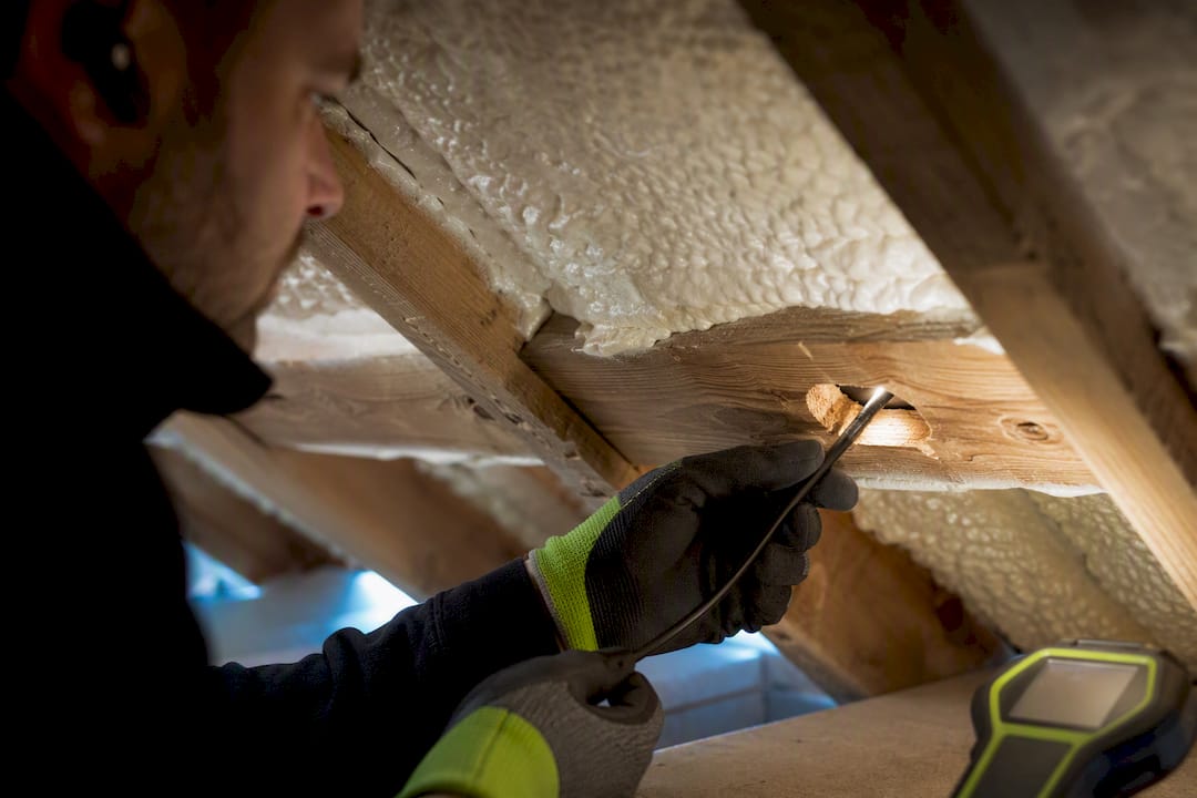 Technician using borescope on roof timber