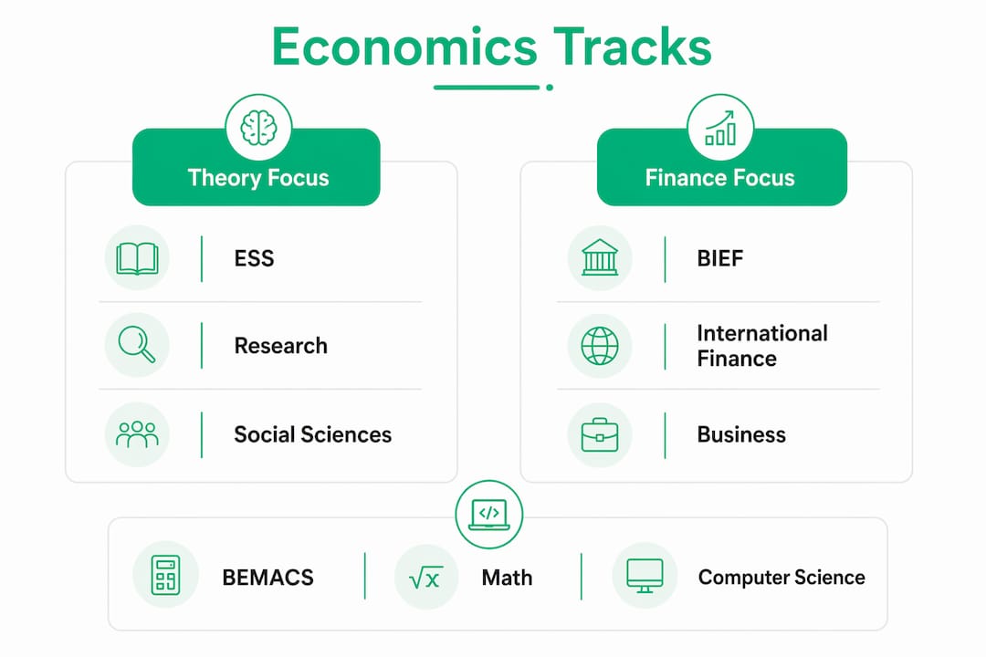 Comparative infographic of Bocconi economics tracks