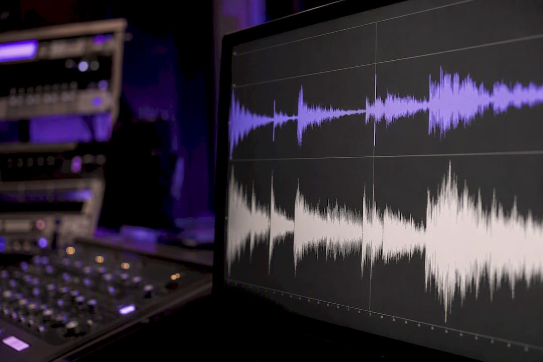 Audio waveform showing transients and signal detail