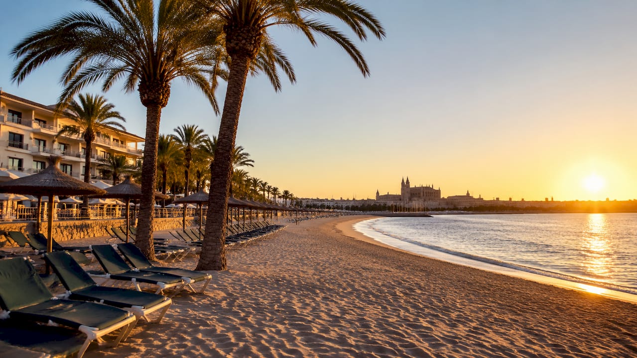 Palm trees on a serene Mallorca Mediterranean beach