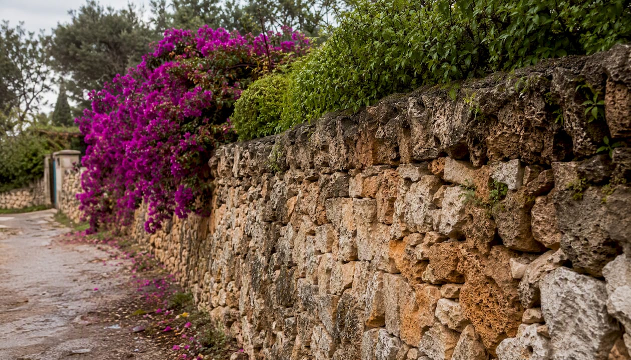 Close-up of Mallorca limestone wall showing moisture spots