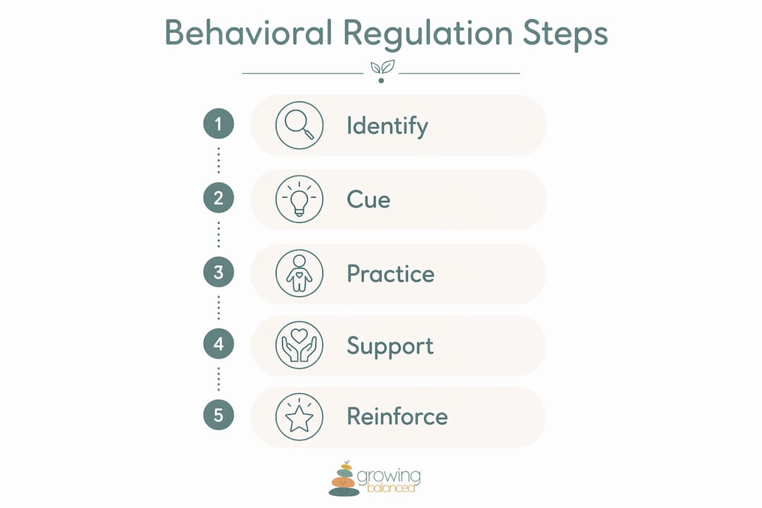Infographic of behavioral regulation steps