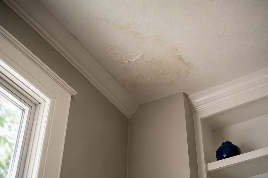 Ceiling water stain in Florida home