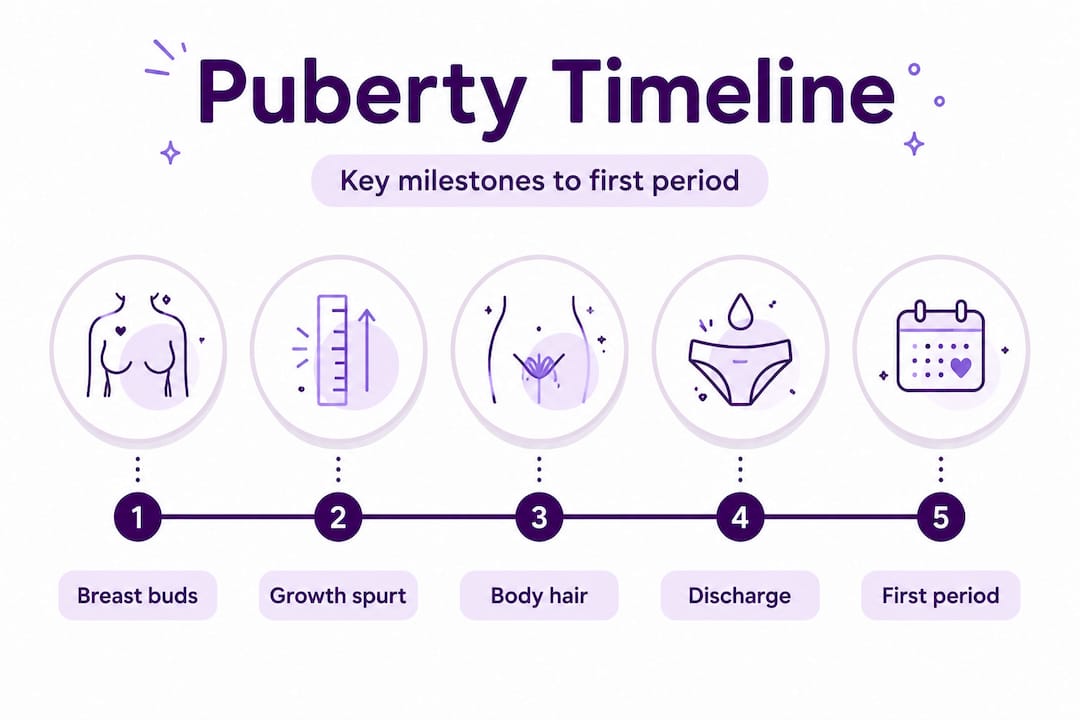 Infographic showing puberty milestones timeline