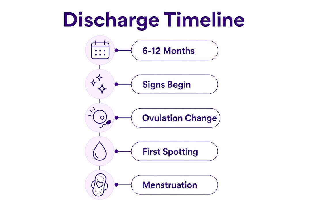Infographic showing timeline stages of first period discharge