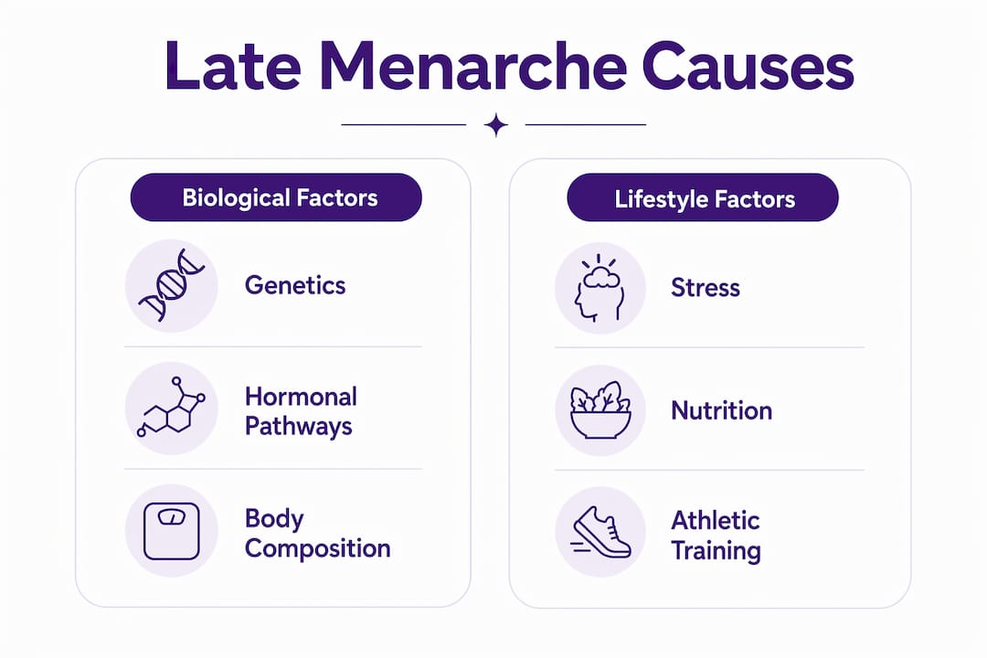 Infographic comparing biological and lifestyle causes of late menarche