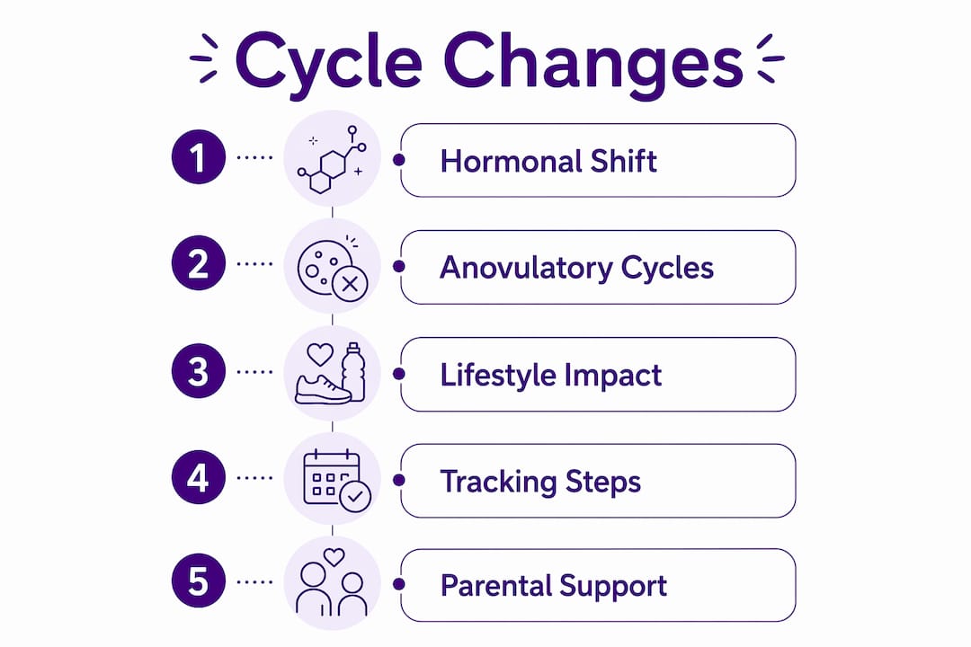 Infographic illustrating stages of menstrual cycle changes