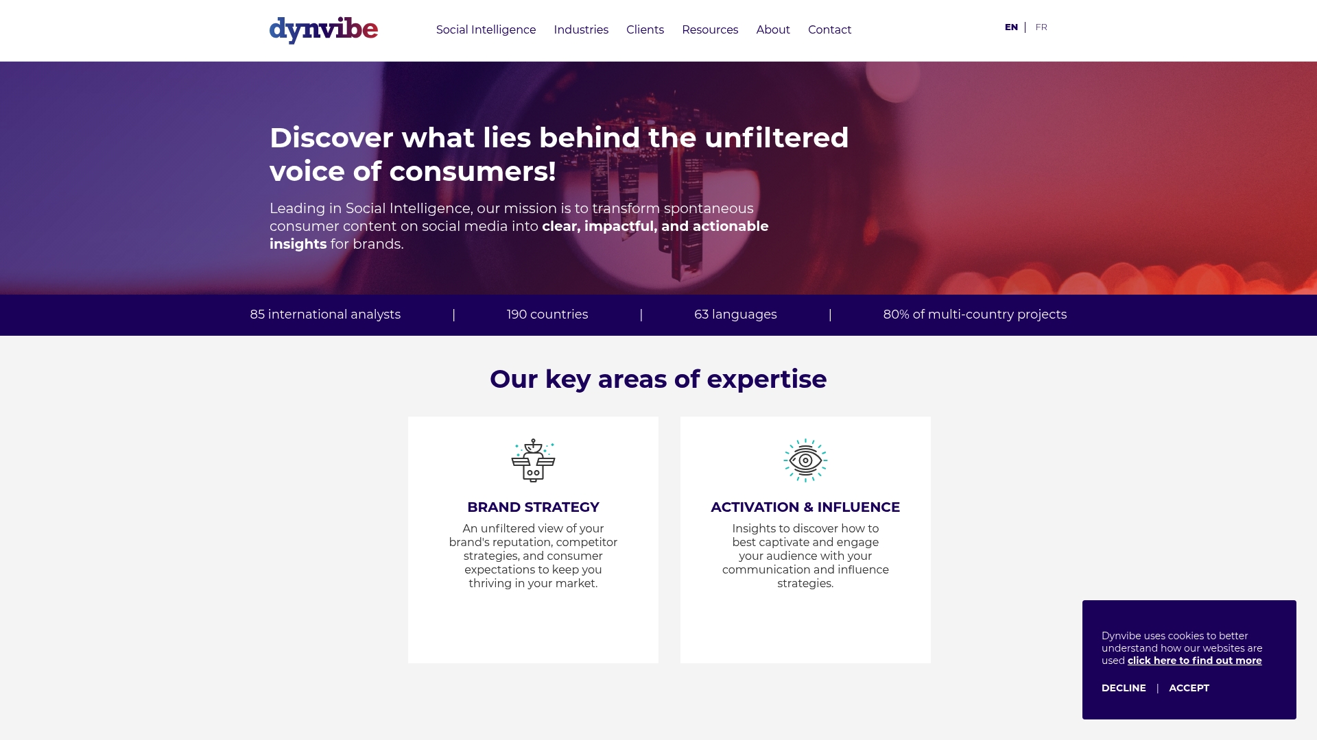https://dynvibe.com