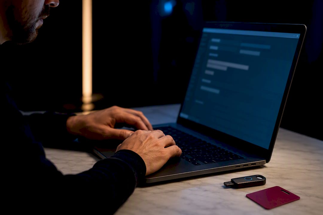 Developer reviewing sanitized API request