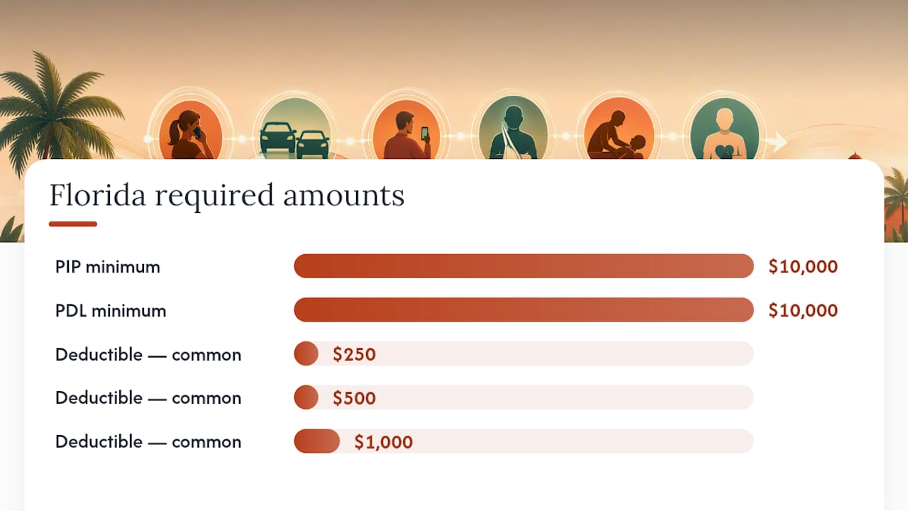 Required Coverages: Florida's Minimums and Compliance Rules — overview diagram