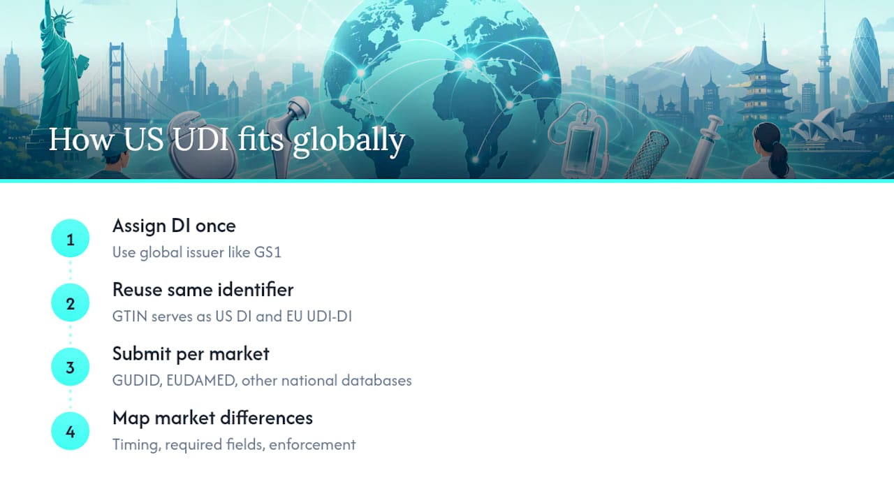 How US UDI Fits Into Global Device Identification Standards — overview diagram