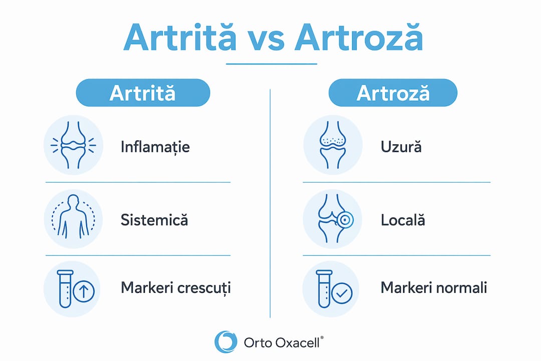 Infografic: diferențe esențiale între artrită și artroză