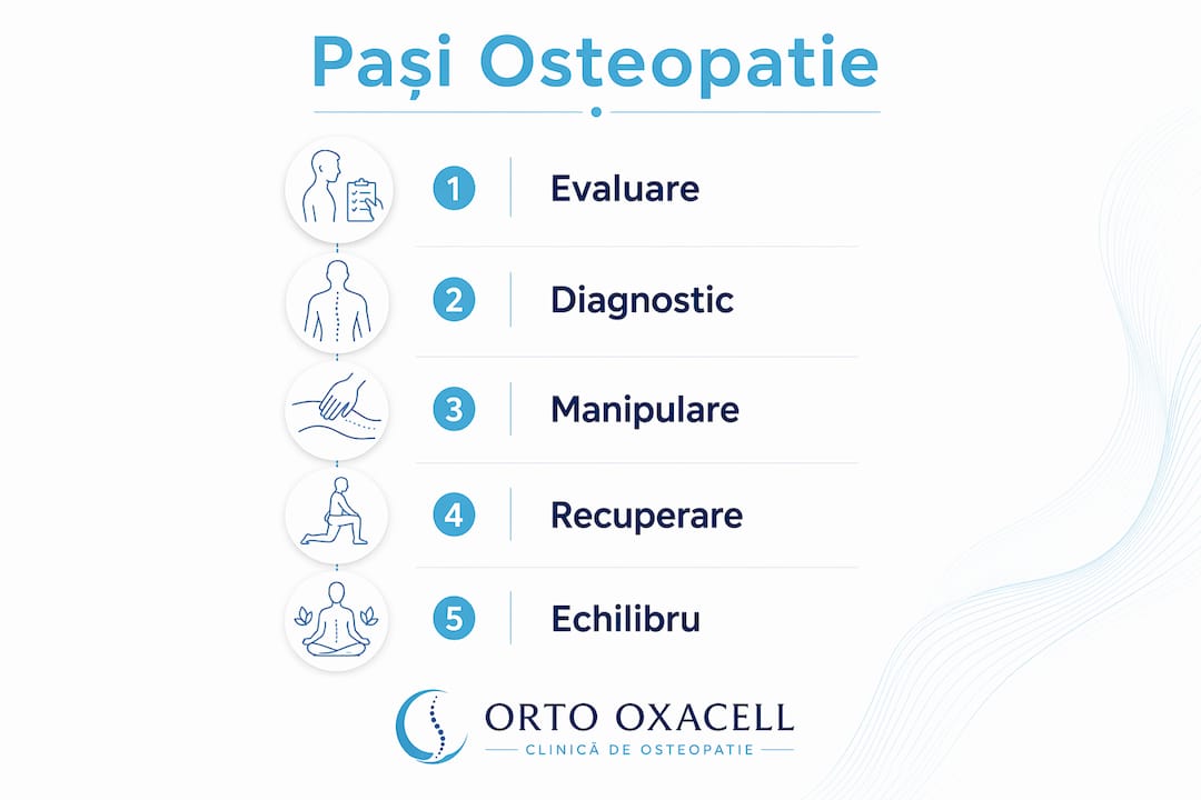 Infografic: etapele esențiale ale osteopatiei vertebrale – tot ce trebuie să știi despre procesul complet