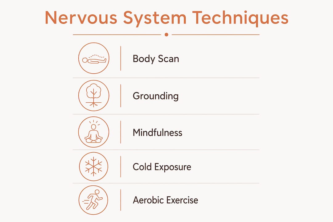Infographic of nervous system regulation techniques