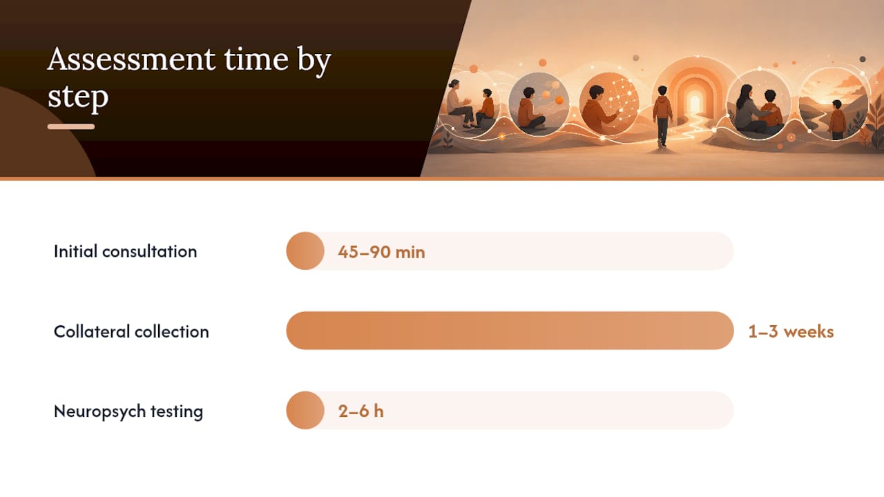 What to expect in the assessment timeline and cost considerations — overview diagram