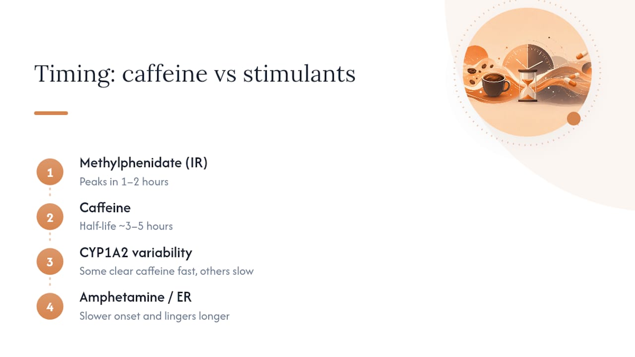 Timeline comparing caffeine and stimulant medication effects