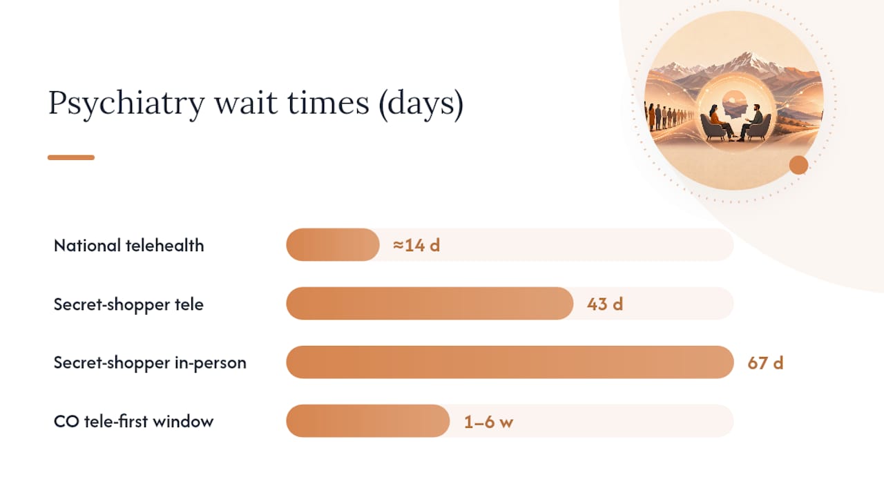 How Long Are Psychiatry Wait Times in Colorado, Really? — overview diagram
