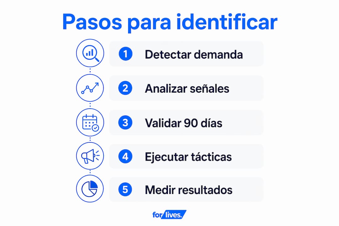 Infografía: guía práctica para crear categorías evergreen